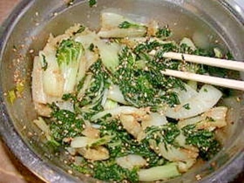 中国白菜(パクチョイ)の胡麻和え